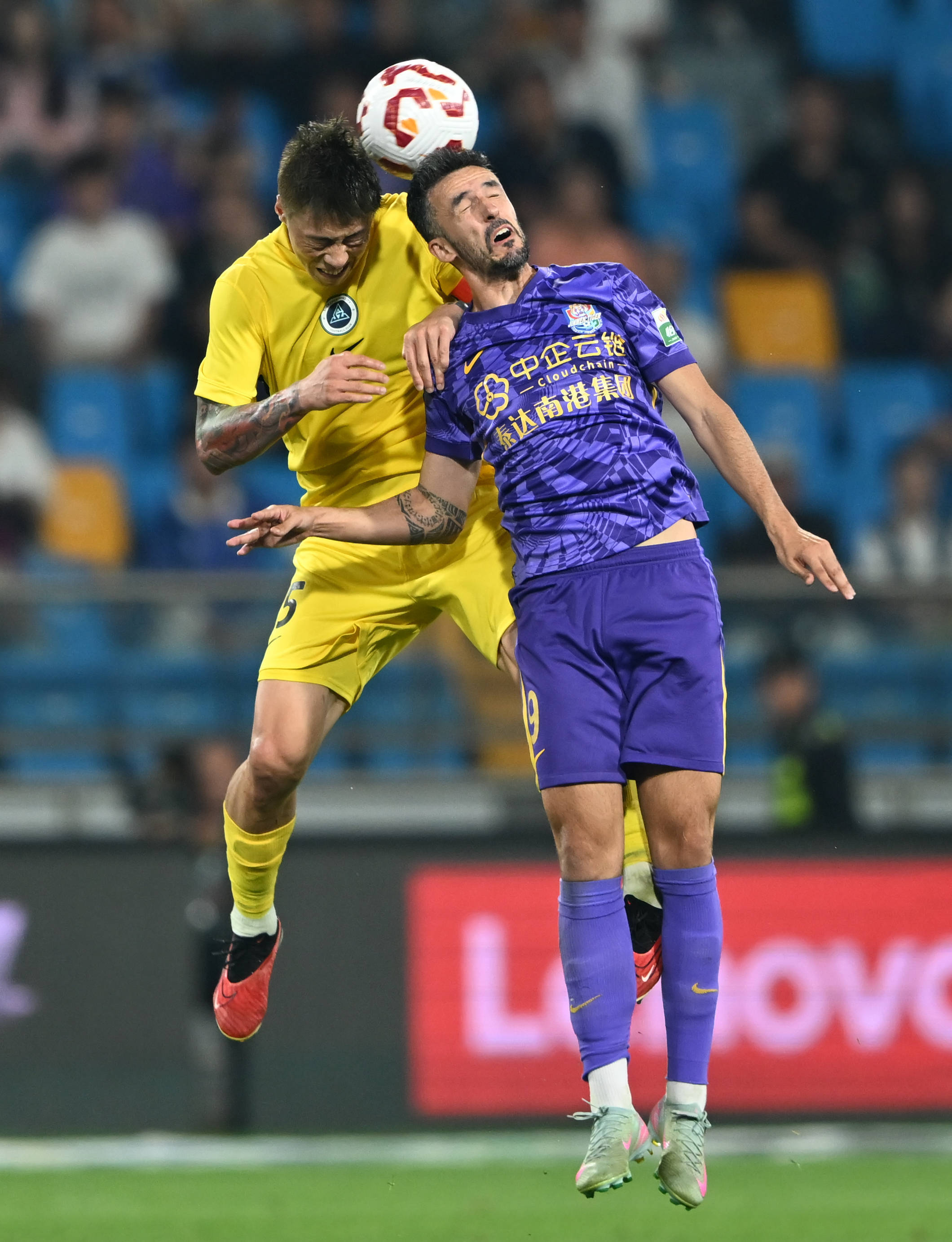 你只能苟住 你只能苟住